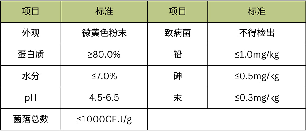 1767748915347647.jpg p6-.jpg